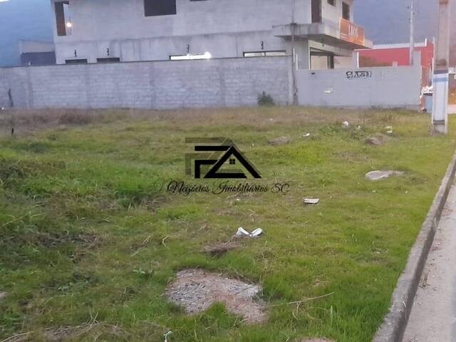 Terreno para Venda em São José - 4