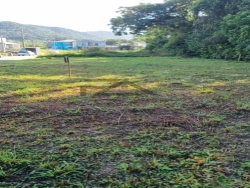 Venda em Forquilhas - São José