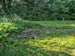 #2119 - Terreno para Venda em São José - SC - 2